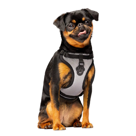 Canada Pooch Everything No Pull Dog Harness - Easy Walk Harness for Dogs with Breathable Mesh Exterior Adjustable Dog Walking Harness Great for Dogs Reflective/M