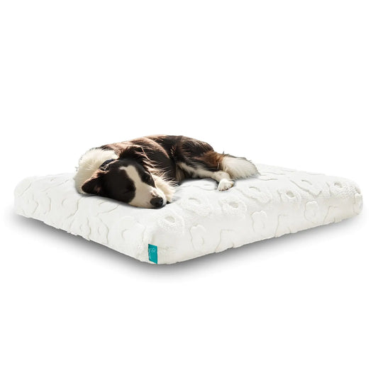 Large Dog Bed Orthopedic Dog Bed for Large Sized Dog Washable and Waterproof Dog Crate Bed with Egg Crate Foam & Shredded Memory Foam Cute Large Size Dog Bed Pets (White (36x27x4 in))